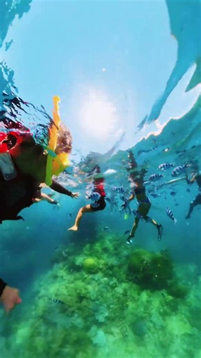 Snorkeling in Fiji island