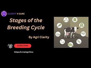 Stages of the Breeding Cycle in Livestock - Concept Clarity| Animal husbandry | #ibpsafo #afo