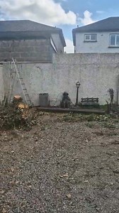 8.3K views · 53 reactions | Kicking Off Another Quality Project –...