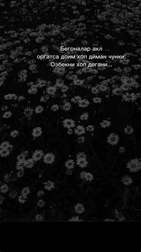 #reeekkkk davom etingla komga🤣