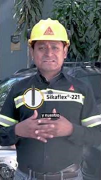Pega piezas livianas sin tornillos ni remaches | Sikaflex®-221