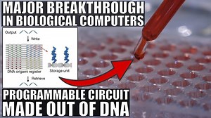 So…Biocomputers Made Out of DNA Circuits May Be a Thing Now – Lifeboat News: The Blog