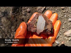 Digging Colorado 2019