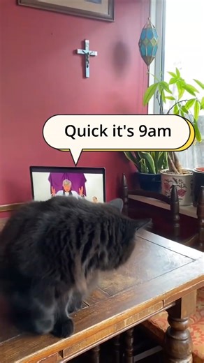 A Sunday morning service for you and your pets! Join us every Sunday at 9am for our national online service. ⛪ 👉 Never miss a moment - subscribe now to get notified when a new service goes live at cofe.io/SubscribeToYouTube. | The Church of England