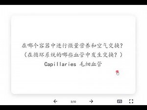 20211104 关键词 生理解剖学 循环系统 测试