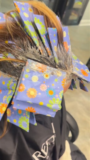 2026 new hair🌟🌟🌟🌟 Refreshed color, hilites, glaze, olaplex treatments. #Blendedgoldenhoney. #honeybrownhaircolor #redken #shadeseqgloss #snagyourspot | Salon Healed