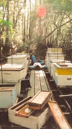 We love bees. And honey. In that order. ❤️ | Savannah Bee Company