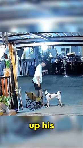 Dog Trades Places With Owner On Chair #petlife #adorable #funnyanimals
