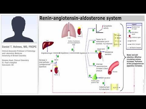 Triple Quad 6500 LC/MS/MS System: The Next Level of Performance for Steroid Research