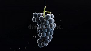 Grapes Close Up. Loop Motion. Beautiful Stock Footage for Wine Commercial. Stock Video - Video of luxury, wineglass: 289919273