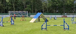 Pixel morning agility run. Decided to do a rtb start and he picked up the aframe although he stopped when asked and didn't take it so just got a refusal. Decided to restart him and he ran lovely! Was super proud of the aframe to weaves sequence as I couldn't get close enough to see the jump after the aframe (aframe blocked my view!) So had to cue and trust him 😍 #paragility #distancehandling #fuelledbycsj #distanceagility #dogsportsdirect #dsd #tamingcanines #poweredbywinstonandporter #bemoreco