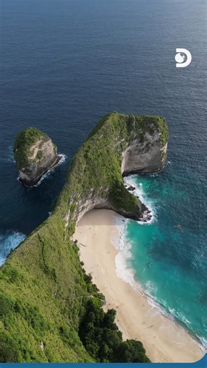 41K views · 143 reactions | The T-Rex cliff at Kelingking Beach in Bali isn’t just for sightseeing - it’s a test of endurance and thrill-seeking spirit.​ ​ Would you dare to climb down and back up? Drop a  if you’re ready for the challenge!​ #Discovery #DiscoverySEA #DiscoveryChannel #DiscoveryChannelSEA #TRexCliff #OffTrack | Discovery Channel Southeast Asia | Facebook