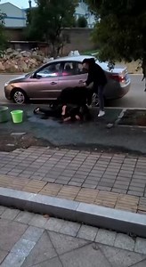 A new angle of the Chinese dog attack on a woman