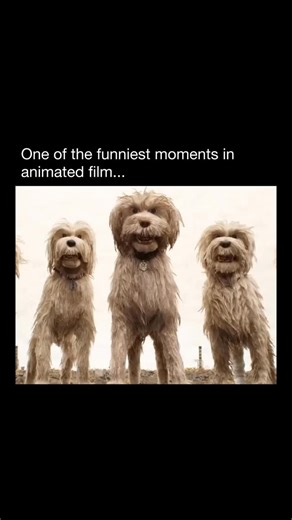 MEMES | Isle of Dogs (2018) 📽 Isle of Dogs is a visually stunning stop-motion adventure set in a dystopian Japan, where an outbreak of dog flu has... | Instagram