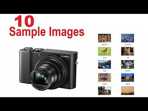 Compact LUMIX ZS100/TZ100 Photography [SAMPLE IMAGES] Advanced Travel Camera with 1" Sensor
