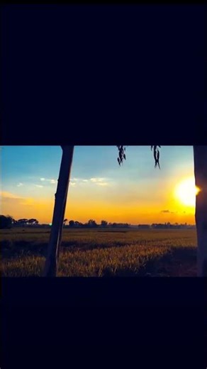 evening time sunset 🍀 #photography #nature #evening