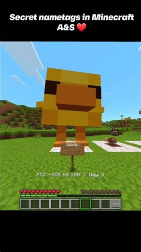 Top 5 SECRET Nametags in Minecraft #minecraft