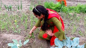 971K views · 230 shares | Joint family | North-Indian Cooking | Facebook