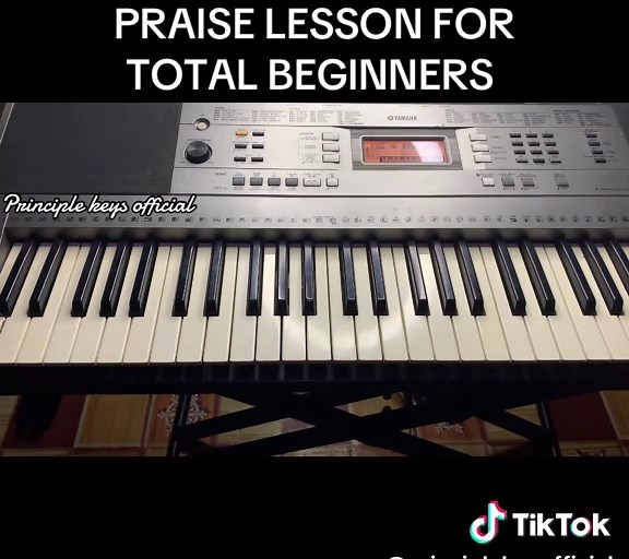 Praise lessons for total beginner #howtoplaypraise #tutorial #principlekeyofficial #fyppppppppppppppppppppppppppppppppppp
