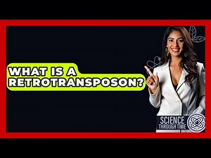 What Is A Retrotransposon? - Science Through Time