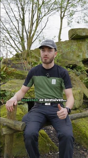 Wat is een insect?