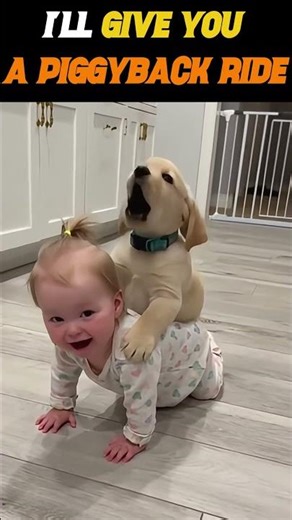 I'll Give You A Piggyback Ride💕