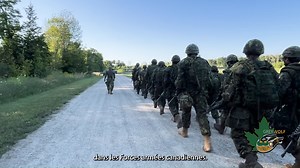 1.8K views · 11 reactions | Grey Wolf is an opportunity for...