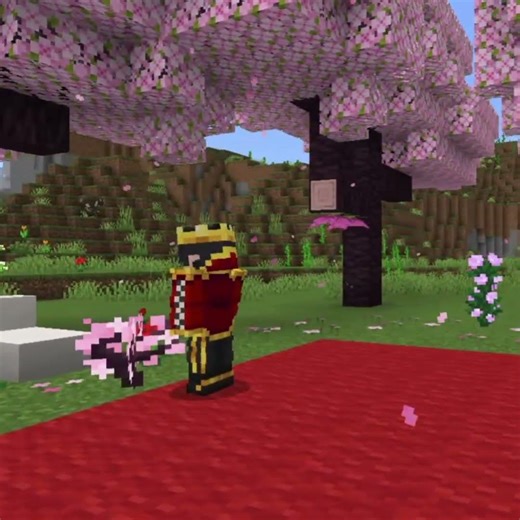 chapter 2 of fire smp 😱🤯 #challenge #minecraft