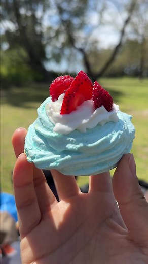 Pavlova Recipe Mistakes and Alternative Fillings