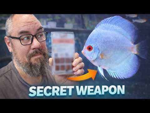 I’m Adding This to My Fish Shop (Because I Use It!)