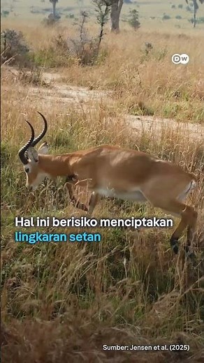 Biofobia, Rasa Takut terhadap Alam