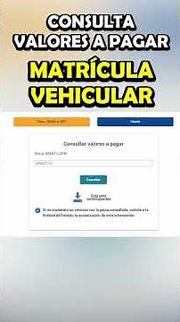 How much should you pay for vehicle registration?