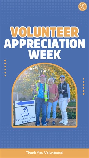 🐾 It’s National Volunteer Appreciation Week! 🐾 From April 20–26, we’re celebrating our 450 incredible volunteers who give their time, compassion, and heart to the York County SPCA. 💚 Whether walking dogs, enriching & socializing our animals, assisting the clinic staff or supporting behind the scenes in so many other ways, their dedication is vital to our life-saving mission. We couldn’t do it without you. THANK YOU, YCSPCA volunteers! 🙌🐶🐱💫 #volunteerappreciation #ycspca #volunteerapprecia