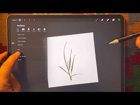 How to copy, cut and paste with Procreate