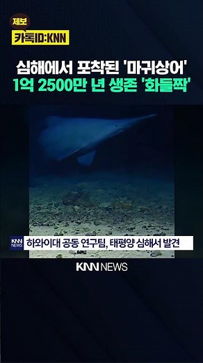 'Goblin Shark' with the chilling name? Finally captured on film alive / KNN