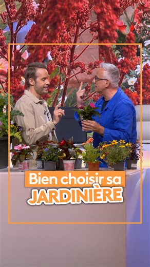 🪴 Comment réussir une jardinière à tous les coups ? Philippe Collignon nous livre tous ses bons conseils pour être sûr d'avoir un extérieur parfaitement fleuri 🪻 | Télématin