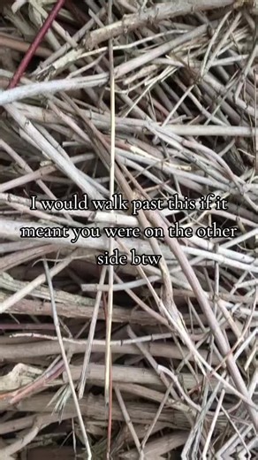 Emotional Moments in Gaming with Friends