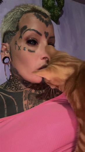 Videos de HIPNOTIKA (@hipnotika_ink_mod) con “sonido original - monetizaconjoel”