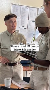 3.8K views · 60 reactions | We're Talking Grass and Flowers today... Snippets from Botany class at The SAWC. Out Here : We Live! #bushwisefieldguides #outherewelive #safarilife #fieldguidetraining #safariguide #botany #grassandflowers | Bushwise | Facebook