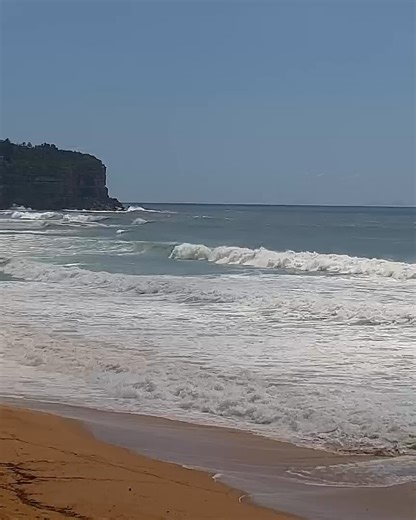 Surfline on Reels