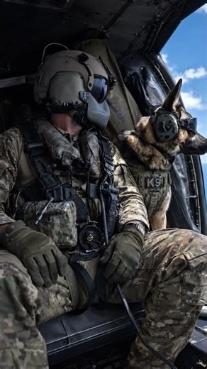Military K9 Goes Out the Door From a Pave Hawk 🚁 #Shorts