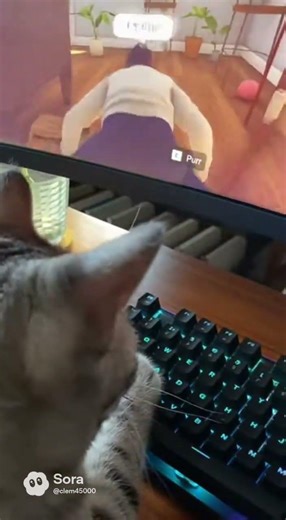 Human simulator 😂😂 Follow and like