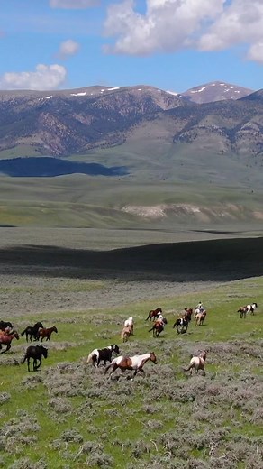 Once in a lifetime views🐴🏔️ • • • • #silverspurranch #cowboy #cowgirl #goodvibes #vacation #idaho #western #fyp #mountains