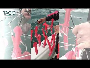 Triple-Tier Dredge Testing on the Pro Series GS-500 Outrigger Systems