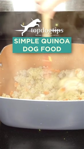  Superfood for super pups! This simple quinoa dog food recipe is packed with protein, fiber, and nutrients to keep your dog healthy and energized. 凌數 ️ Watch now + grab the full recipe here: https://topdogtips.com/simple-quinoa-dog-food/ #QuinoaForDogs #HomemadeDogFood #HealthyDogMeals #SuperfoodForDogs #DogNutrition #TopDogTips | Top Dog Tips | Facebook