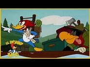 El Pájaro Loco Episodio Completo - Buscadores de oro - Dibujos Animados - Caricaturas