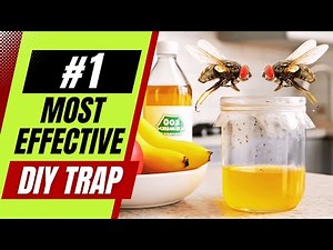 The Easiest DIY Fruit Fly Trap You Can Make Right Now