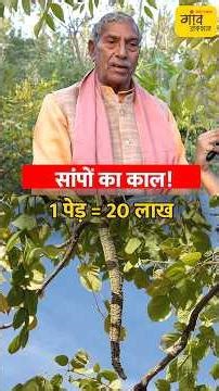 एक पेड़ की कीमत 20 लाख! सांप भगाने वाला 'गरुड़' पौधा और दुर्लभ पौधों की अनोखी लाइब्रेरी। #shorts