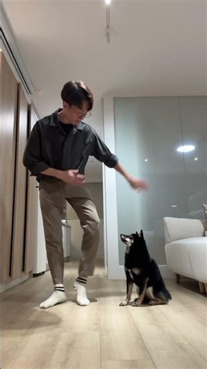 Teaching a dog how to dance! #dog #vfx