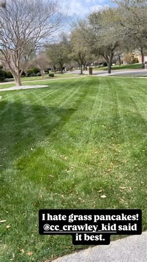 Hate Grass PanCakes!!!!!